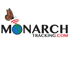 Monarch still